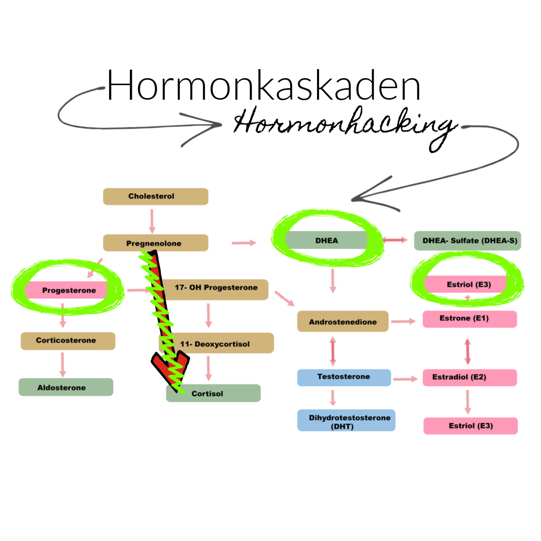 hormonhacking